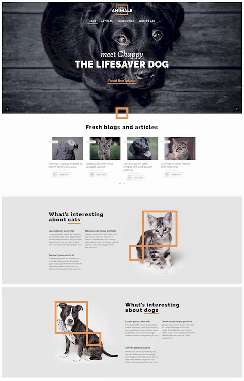 animals eco friendly cheap website design in dubai uae