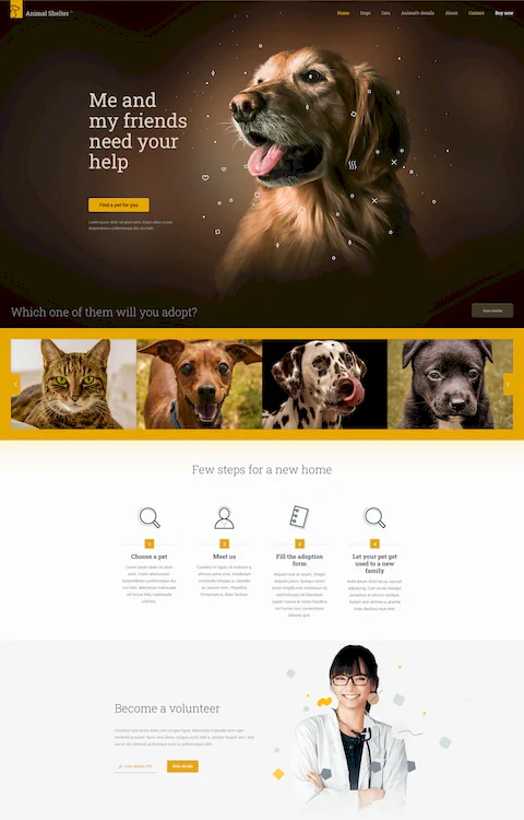 animal shelter eco friendly cheap website design in dubai uae
