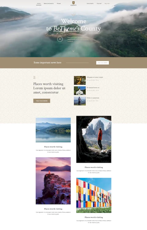 county cheap website design in dubai uae