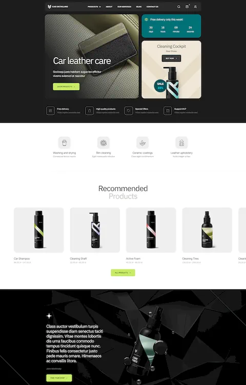 detailing shop cheap website design in dubai uae