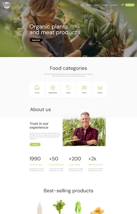 eco food eco friendly cheap website design in dubai uae