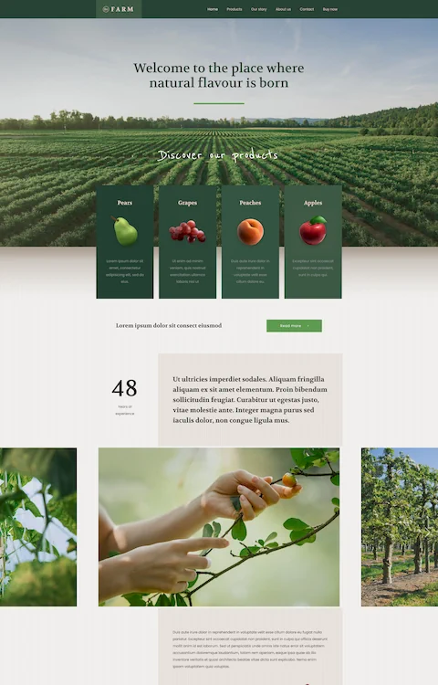 farm 2 cheap website design in dubai uae