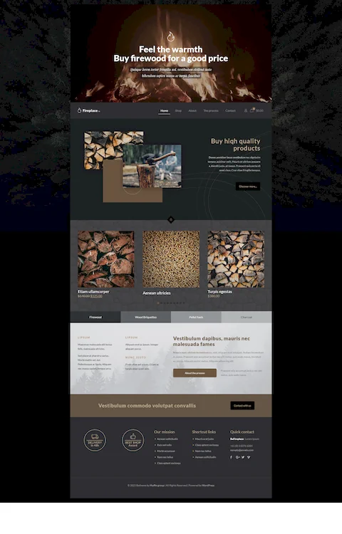 fireplace eco friendly cheap website design in dubai uae