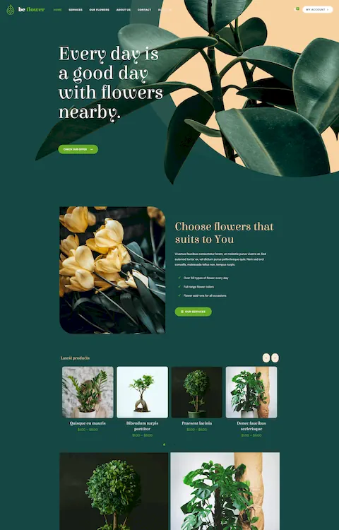 flower 2 eco friendly cheap website design in dubai uae