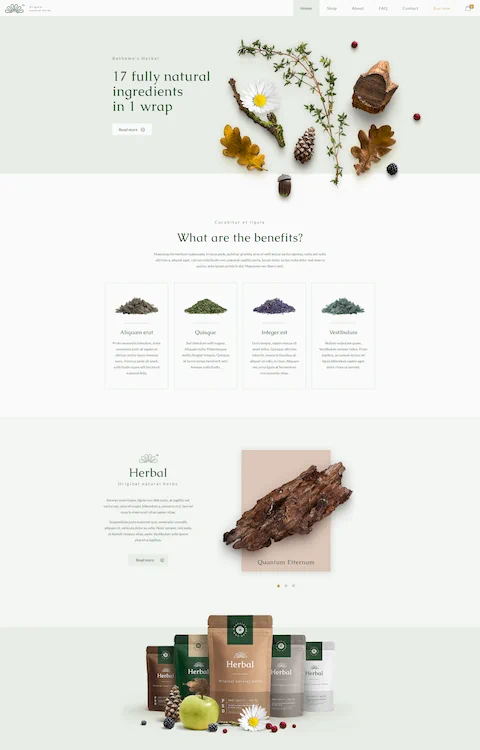 herbal eco friendly cheap website design in dubai uae