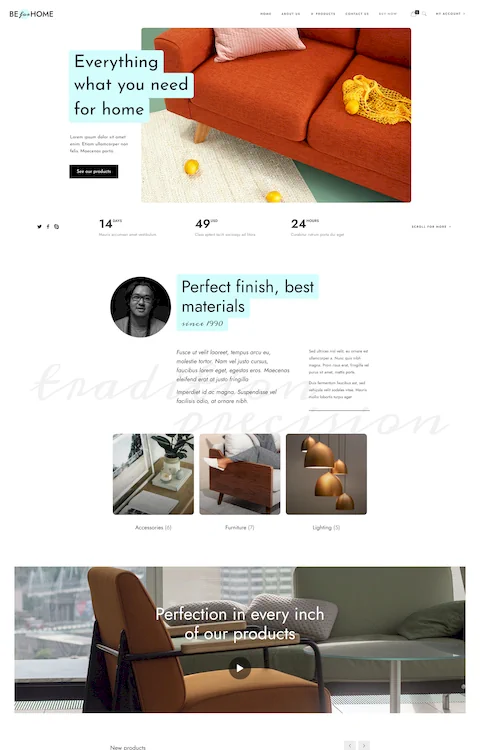 home 3 eco friendly cheap website design in dubai uae