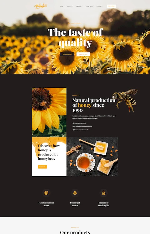 honey eco friendly cheap website design in dubai uae