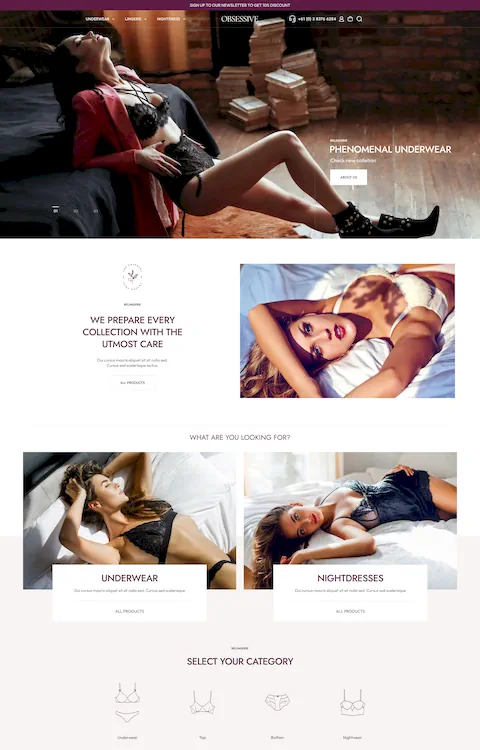 Lingerie eco friendly cheap website design in dubai uae