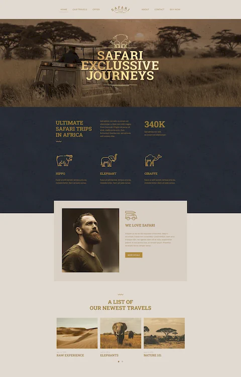 safari 2 eco friendly cheap website design in dubai uae