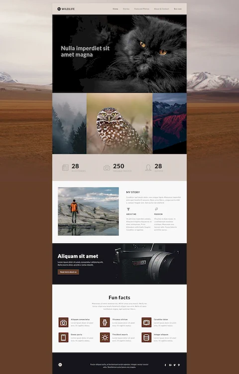 wildlife eco friendly cheap website design in dubai uae