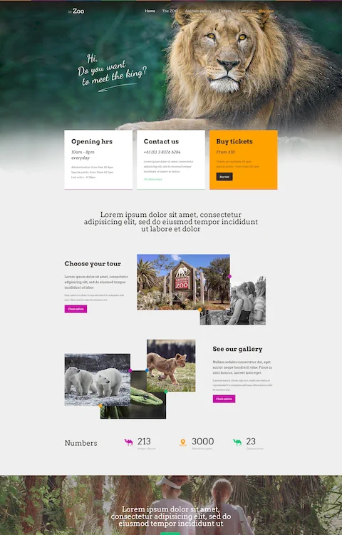 zoo eco friendly cheap website design in dubai uae