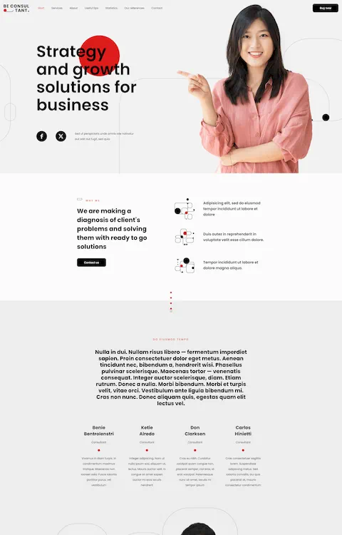 consultant 2 cheap website design in dubai uae