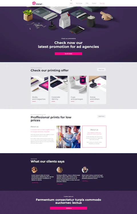 print cheap website design in