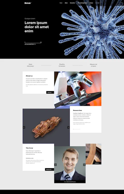 biolab cheap website design in