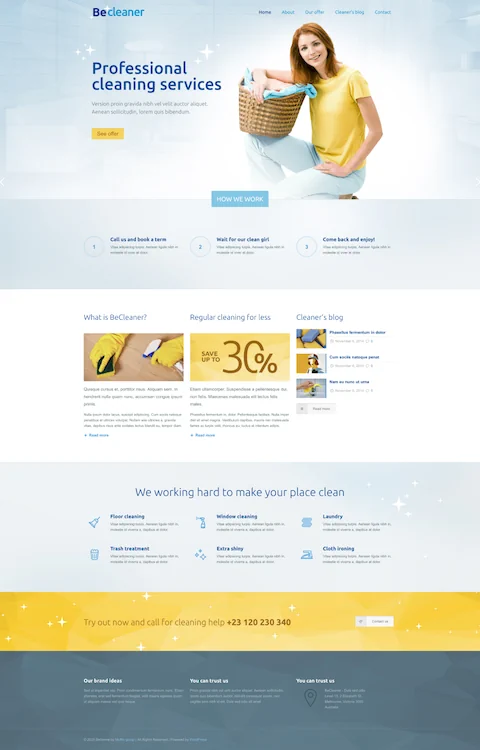 cleaner cheap website design in