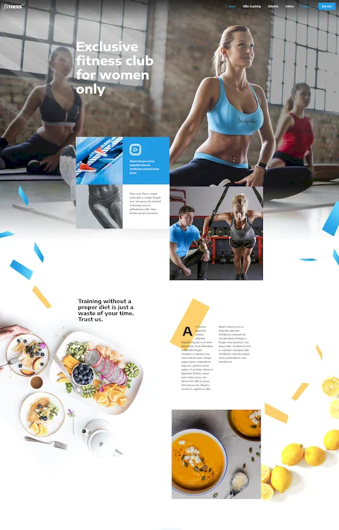 fitness 2 cheap website design in