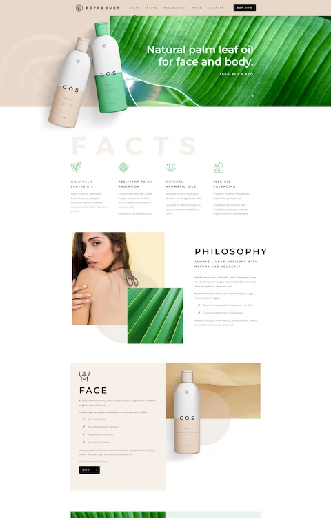 product 2 cheap website design in