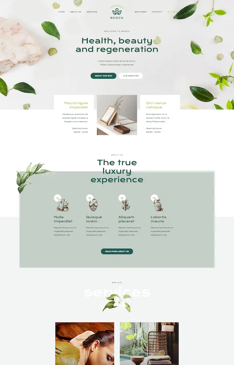 spa 4 cheap website design in